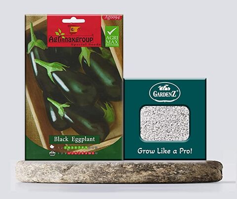 بذور الباذنجان الأسود AG0094 Agrimax (صنع في أسبانيا) + صندوق البيرلايت الزراعي (5 لتر) من GARDENZ
