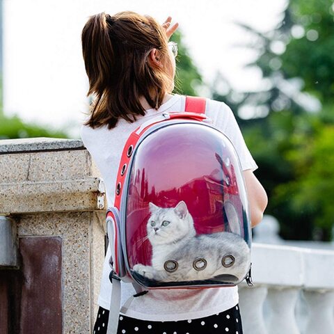 Cat transparent clearance bag