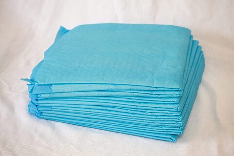 Luxe Decora Disposable Absorbent Pet Diaper Dog Training Pee Urine Pads, Leak-Proof Pee Pads (60x60, 20)