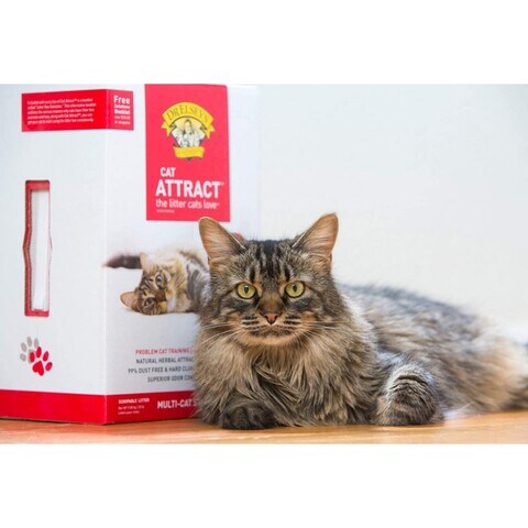 Dr elsey's cat litter cat clearance attract