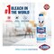 Clorox Liquid Bleach Original Household Cleaner and Disinfectant Eliminates Common Household Germs and Removes Stains 470ml