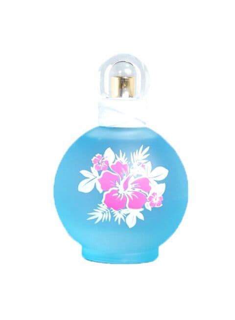 Britney spears best sale perfume maui