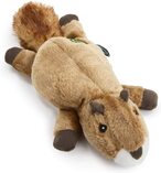 Buy Godog Flatz Squirrel With Chew Guard Technology Durable Plush Squeaker Dog Toy in UAE