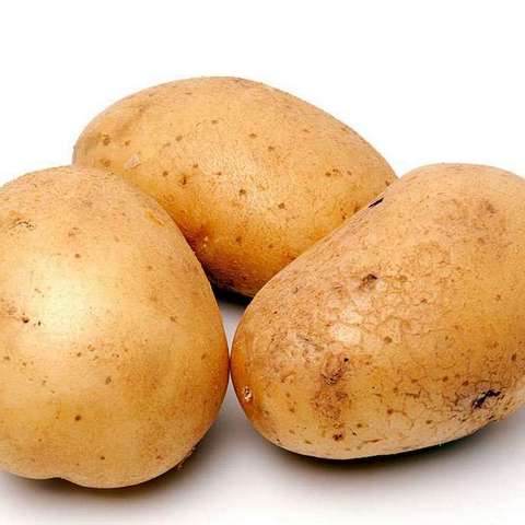 Potato Per kg