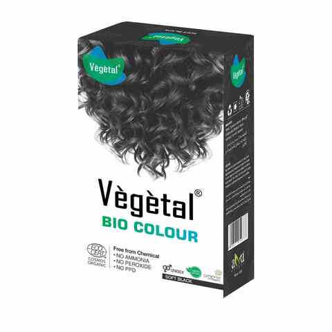 Buy Vegetal Bio Semi-Permanent Hair Colour Soft Black 100g Online - Shop  Beauty & Personal Care on Carrefour UAE