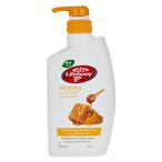 Buy Lifebuoy Honey And Turmeric Anti-Bacterial Body Wash 500ml in Kuwait