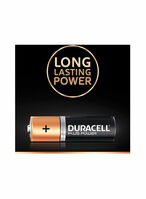 Buy Plus Power Type AA Alkaline Battery Black/Copper AA in UAE