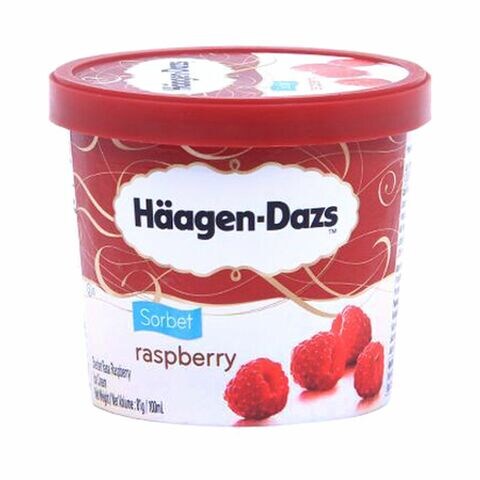Haagen-Dazs Sorbet Raspberry Ice Cream 100ml