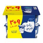 اشتري المراعي زبادي طبيعي - 105 جرام - 12 علبة في مصر