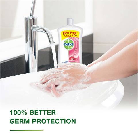 Dettol Skincare Anti-Bacterial Liquid Hand Wash Pink 1L