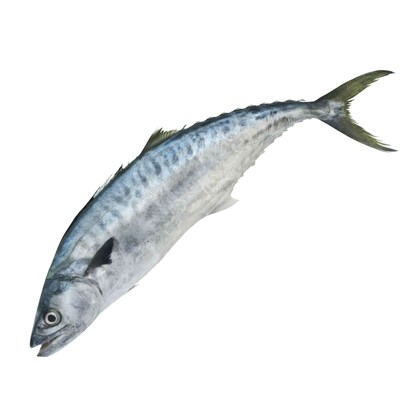 Buy Fresh King Fish Small Online - Shop Fresh Food on Carrefour UAE