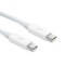 APPLE THUNDERBOLT CABLE0.5 M