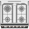 Toshiba 4 Burner Gas Cooking Range Stainless Steel Top And Front + Grey Silver Side TBA-24BMG4G089KS 60x60cm
