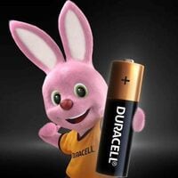 Duracell Type AA Alkaline Batteries Gold 12 count