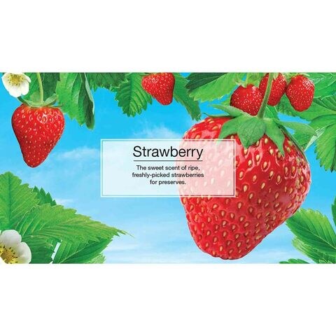 Little Trees Vent Wrap Car Air Freshener Strawberry Black
