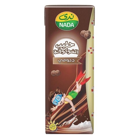 Nada Dahoomy Milk Long Life Chocolate Flavored 185ml &times; 18 Pieces