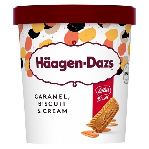 Haagen Dazs Speculoos Caramel Biscuit And Cream Ice Cream 460ml