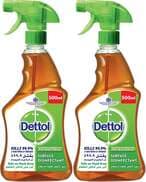 Buy Dettol Pine Antibacterial Surface Disinfectant, 500ml (Pack of 2) in Kuwait