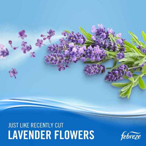 Febreze Lavender Air Freshener Spray 300ml