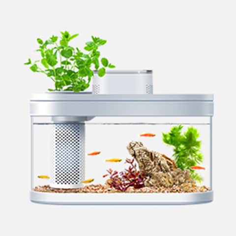 Smart Amphibious Ecology Layman Fish Tank Pro Suit C180 price in