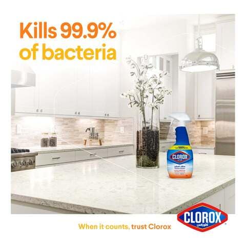 Clorox Kitchen Spray Cleaner Bleach Free 500ml