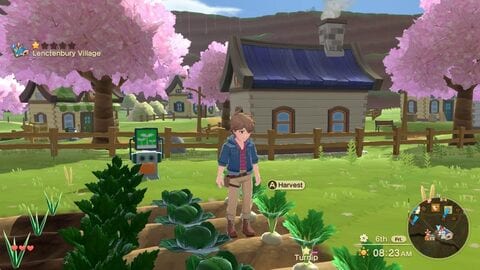 Harvest moon best sale for nintendo switch