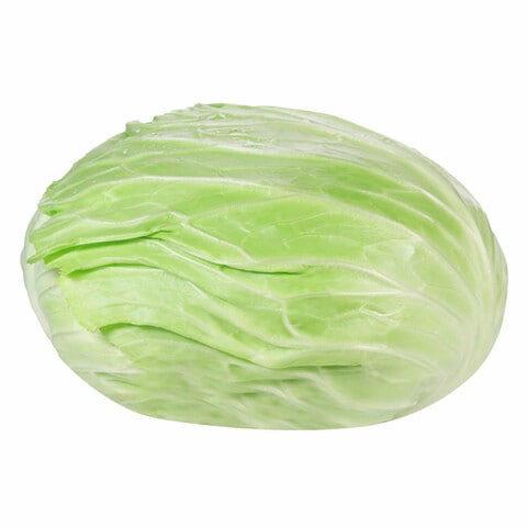 White Flat Cabbage