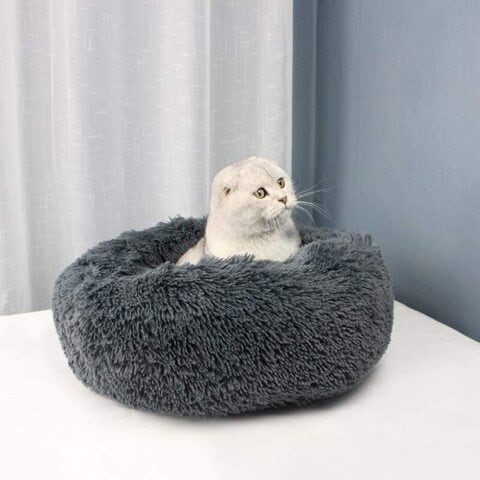 Bean bag outlet cat bed