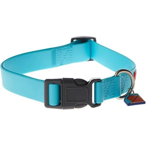 Dog collar online deals shopping