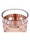 Royalford Acrylic Glass Rose Gold/Clear 440ml