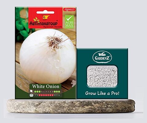 White Onion Seeds AG0027 Agrimax (Made in Spain), Fruits grows up to large size + Agricultural Perlite Box (5 LTR.) by GARDENZ