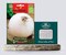 White Onion Seeds AG0027 Agrimax (Made in Spain), Fruits grows up to large size + Agricultural Perlite Box (5 LTR.) by GARDENZ