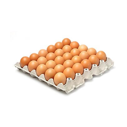 Eggs Medium Assorted Color 1600GR