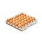 Eggs Medium Assorted Color 1600GR