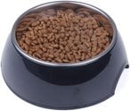 Buy Mumoo Bear Dog Cat Bowls Melamine Stand Stainless Steel Bowls in UAE