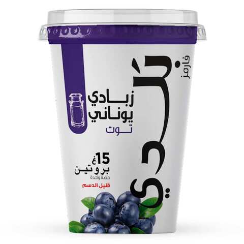 Balade Low Fat Blueberry Greek Yoghurt 450g