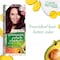 Garnier Color Naturals Cream And Berry Collection Permanent Hair Color Cream 4.62 Sweet Cherry