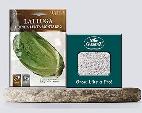 Lettuce Seeds   Model COD.BSOLAT204 Brand HORTUS   Origin Italy + Agricultural Perlite Box (5 LTR.) by GARDENZ