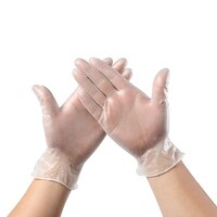 Generic-L Disposable PVC Gloves Single Use Transparent AMMEX Gloves Powder Free Latex Free for Food Service, Parts Handling, Cleanup and Beauty Salon 100PCS/Box