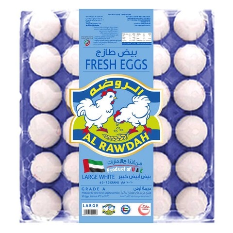 Al Rawdah Fresh White Large Eggs 30 PCS
