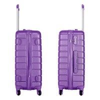 Senator Hard Case Suitcase Trolley Luggage Set For Unisex ABS Lightweight Travel Bag with 4 Spinner Wheels KH1095 Highlight Purple