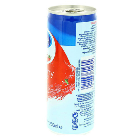 Ocean Spray Cranberry Classic Juice 250ml