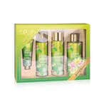 Buy GOLDEN ROSE SPRING BREEZE  BODY CARE COLLECTION SET (BODY LOTION ,SHOWER GEL,BODY MIST,HAND CREAM) in UAE