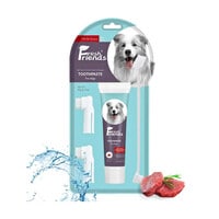 Fresh Friends Dog Dental Care Kit Beef Flavor With Bio-Enzyme-90g