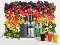 Sage BJE430SIL the Nutri Juicer Cold Fountain Centrifugal Juicer - Silver