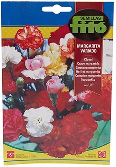 Fito Carnation Marguerite Mix-543