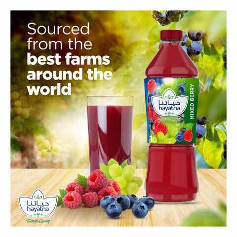 Hayatna Pure Berry Mix Nectar No added sugar 1L