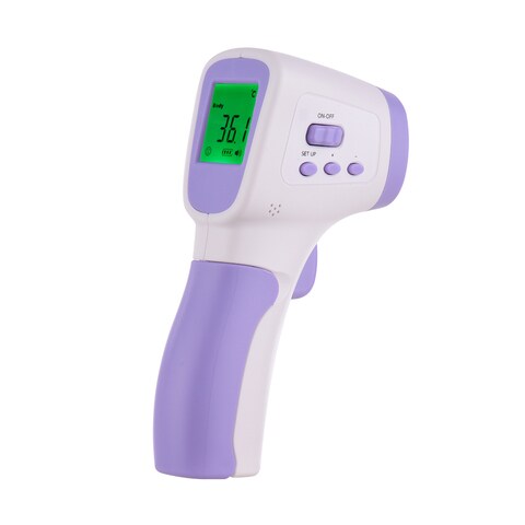 Buy electronic shop thermometer