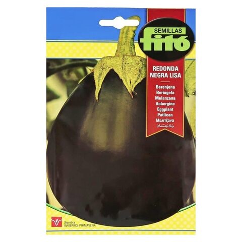 Fito Semillas Smooth Black Round Eggplant Seeds