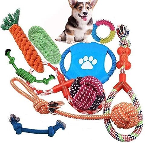 Online dog outlet toys